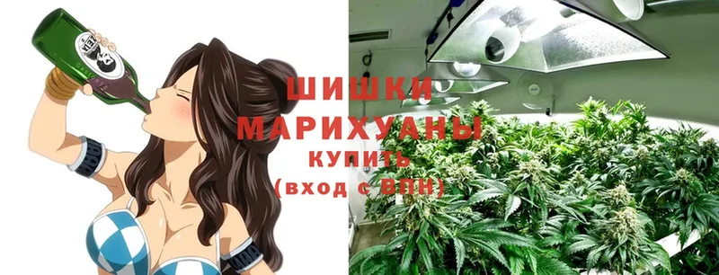 Марихуана SATIVA & INDICA  Россошь 